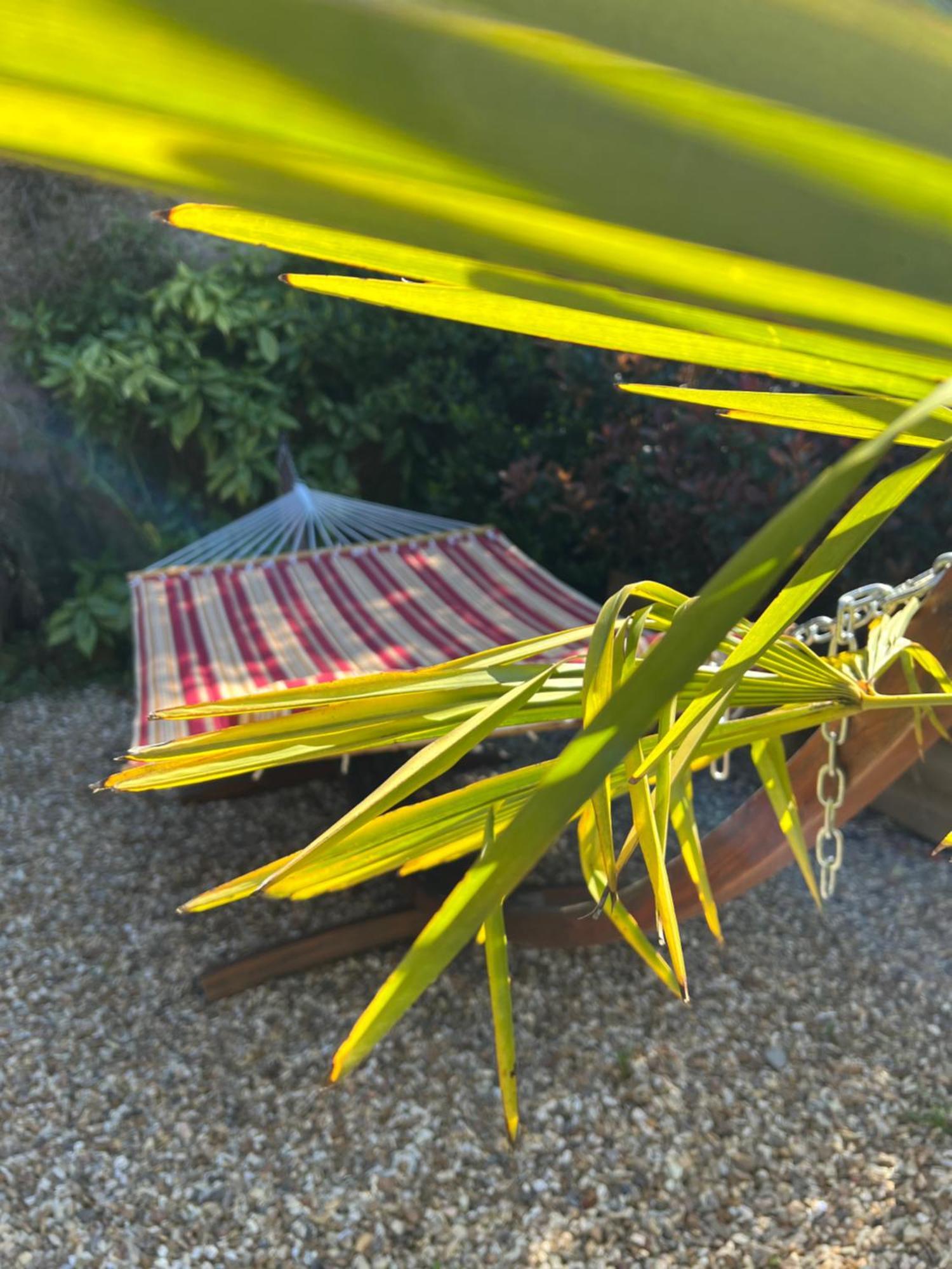 Chezelle * Saint-Georges-sur-Cher